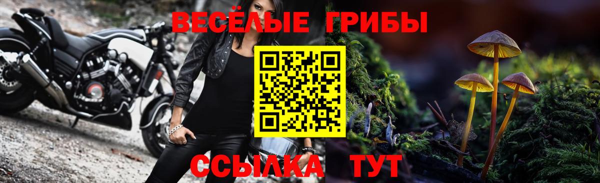 Псилоцибиновые грибы Psilocybine cubensis Лосино-Петровский