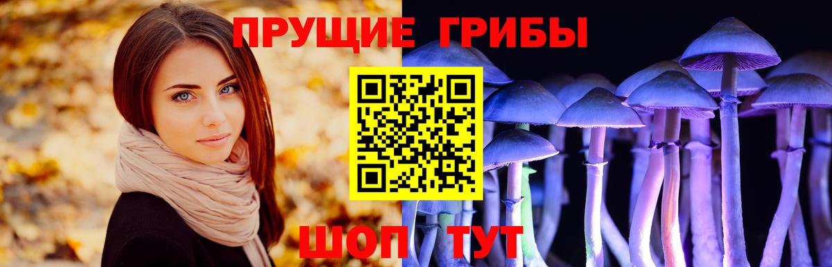 Лосино-Петровский  Псилоцибиновые грибы мухоморы  Вход с VPN 